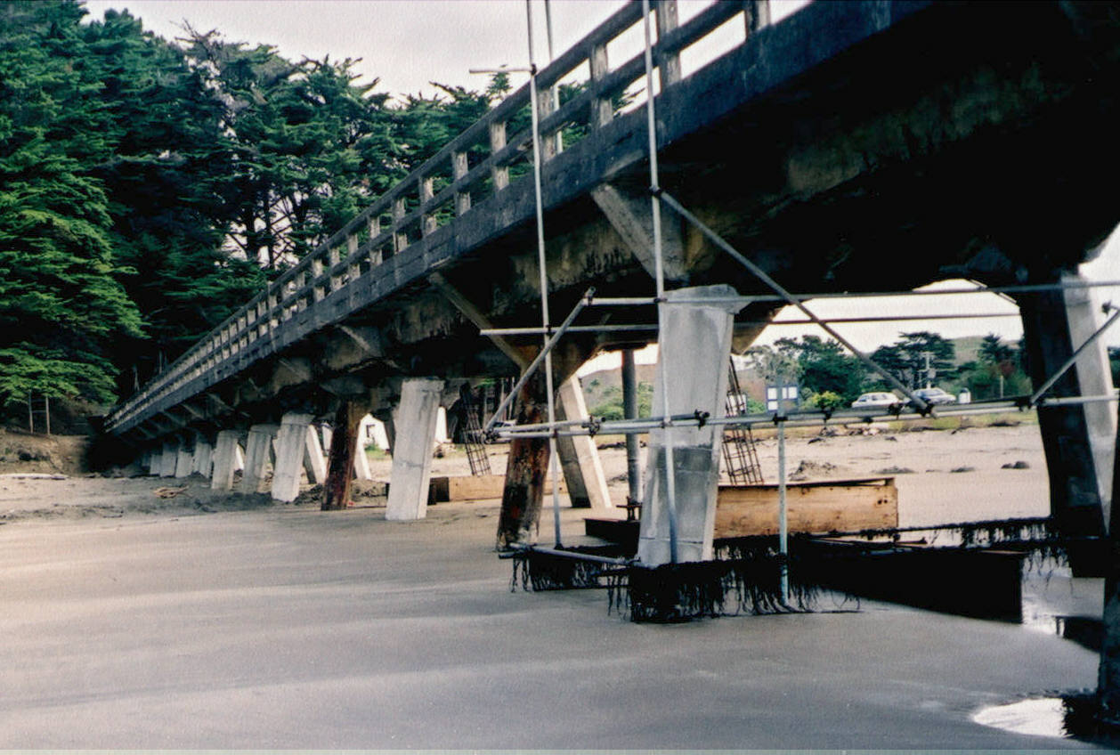 Tolaga Wharf 5.jpg